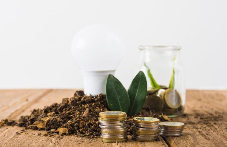 Understanding Environmental, Social, and Governance Factors in Investment Decision-Making