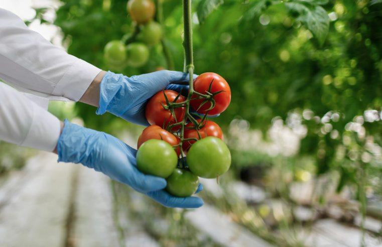 Climate Change and Global Food Security: The Need for Sustainable Agriculture