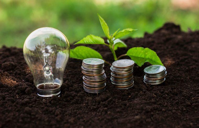 Aligning Financial Returns with Environmental and Social Impact