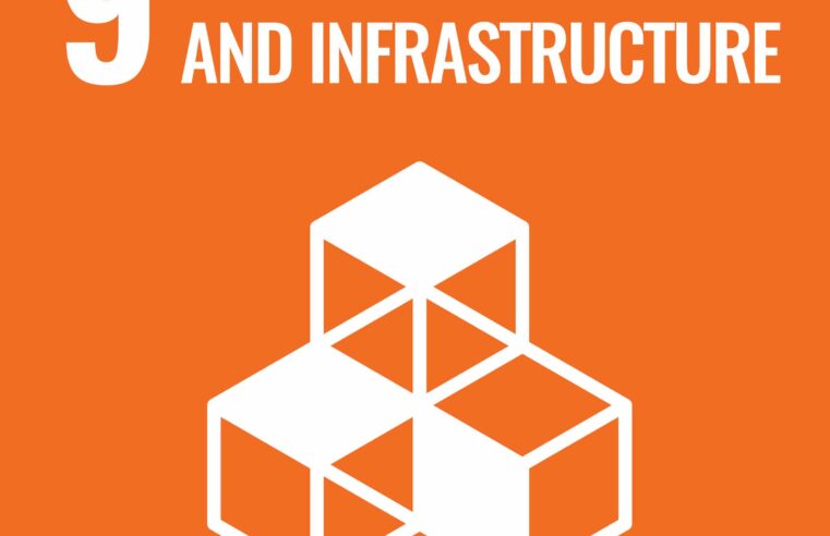 SDG 9: Build resilient infrastructure, promote sustainable industrialization and foster innovation
