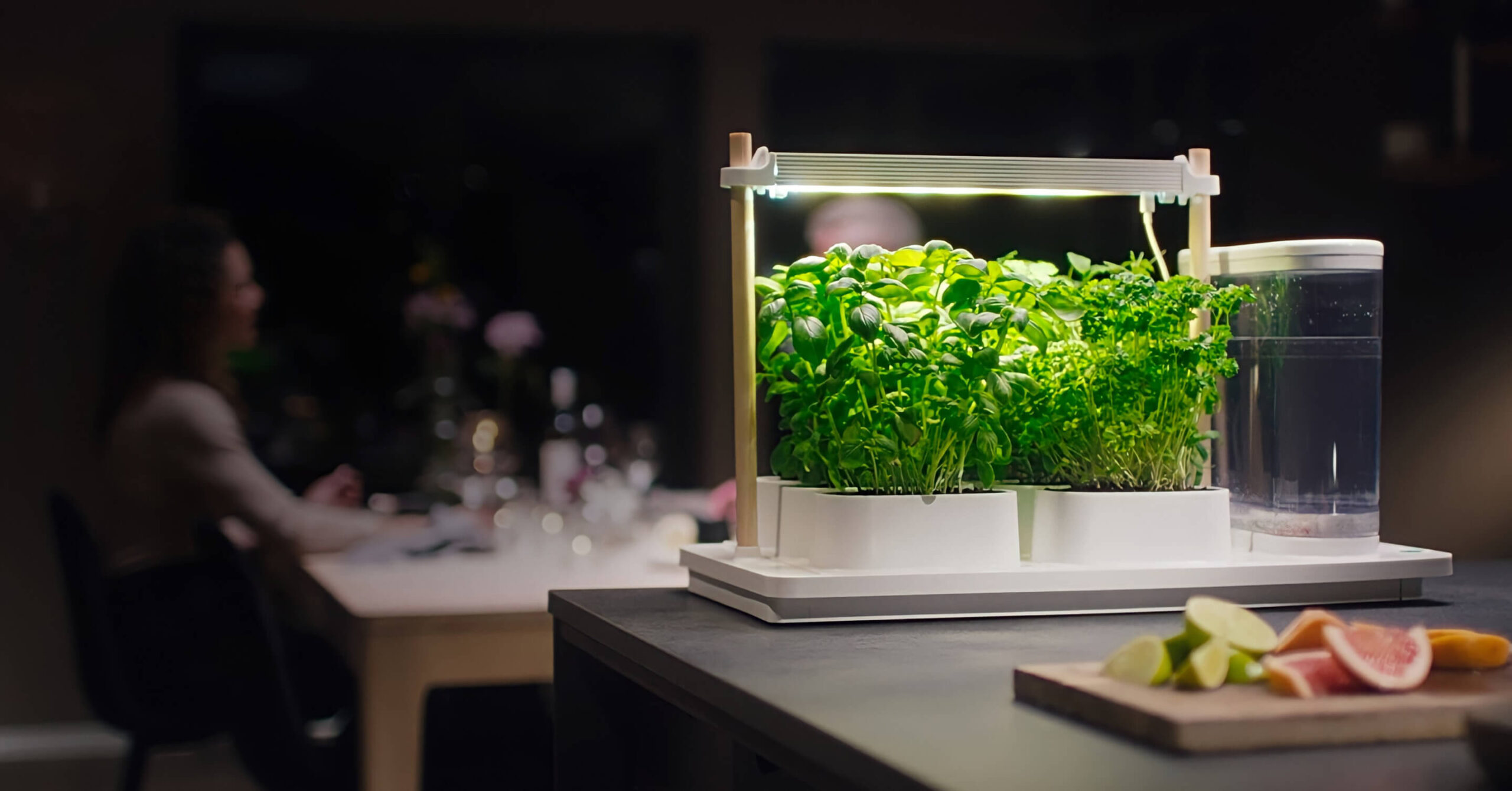A Green Revolution Indoors: Auk Eco's Journey to Sustainable Living -  Enviromic